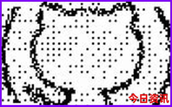 长沙极地海洋馆游玩攻略